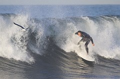 Surfing-0141