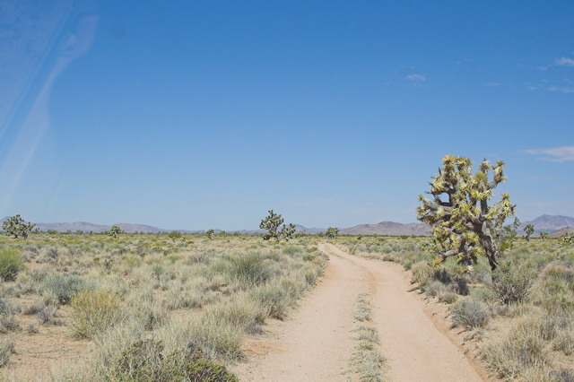 Mojave-Road-0063 - Looking across the long, flat Lanfair Valley.