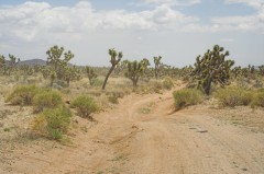 Mojave-Road-0090