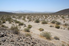 Mojave-Road-0200