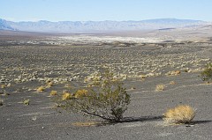 Death-Valley-1083