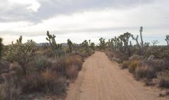 Mojave-Road-0154