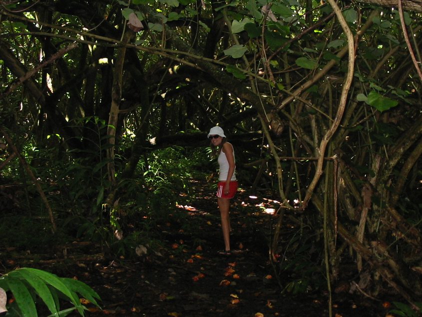 Honeymoon-Kauai-058 - Got lost in the jungle.