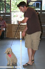 Puppy-Kindergarten-0038