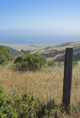 Big-Sur-0136