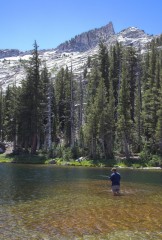 Tuolumne-Meadows-8891