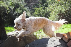 Wheeler-Gorge-0046