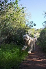 Wheeler-Gorge-0054