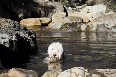 Wheeler-Gorge-0152