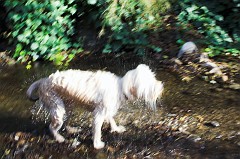 Wheeler-Gorge-0168