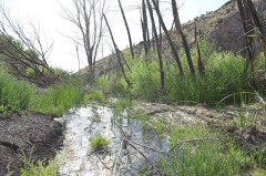 Mojave-Road-0047