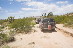 Mojave-Road-0089