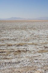 Mojave-Road-0188