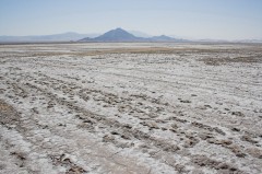Mojave-Road-0192