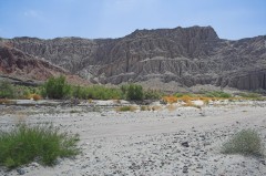 Mojave-Road-0227