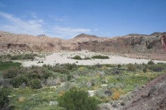 Mojave-Road-0235