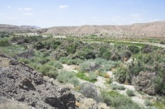 Mojave-Road-0238