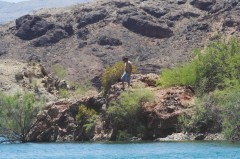 Lake-Havasu-1116