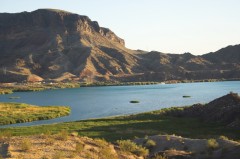 Lake-Havasu-1259