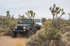Mojave-Road-0150