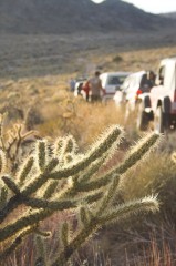 Mojave-Road-0233