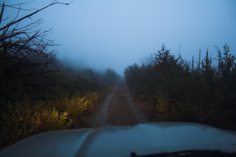 Paso-Robles-0215 - The trail was dark, cold, rainy, windy, muddy and foggy. And lonely.