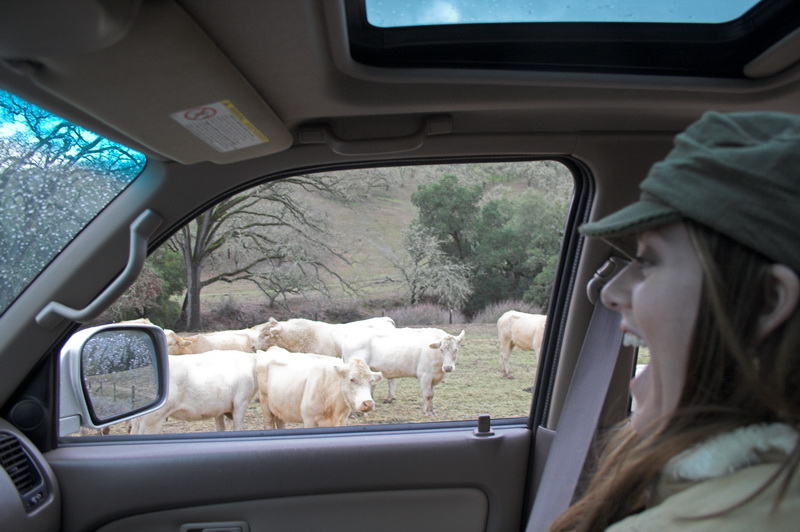 Paso-Robles-0300 - Jessica thought it was hilarious.